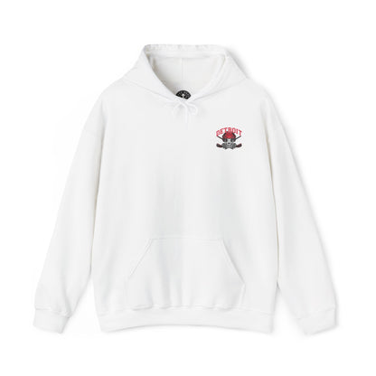 DETROIT HOCKEY HOODIE